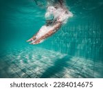 A talented female swimmer dives into a full-size tournament pool to train or compete. This stunning wide-angle underwater photo captures the grace and power of this athlete in action.