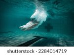 A talented female swimmer dives into a full-size tournament pool to train or compete. This stunning wide-angle underwater photo captures the grace and power of this athlete in action.