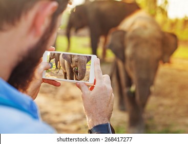 talented man photographing baby elephant with his mobile phone camera in Chitwan national park, Nepal