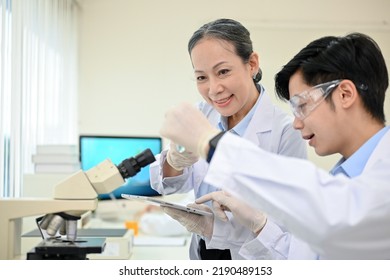 A Talented Young Asian Male Medical Specialist Or Scientist Working In The Lab With Senior Female Supervisor.