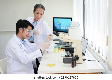 A Talented Young Asian Male Scientist Is Adjust Specimen On A Petri Dish, Doing A Medical Experiment In The Lab While Inspected By His Supervisor.