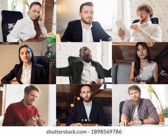 Talks. Headshot screen, application view of diverse employees have work web conference using modern platform, smiling colleagues during online brainstorm, briefing on video call. Remote business.