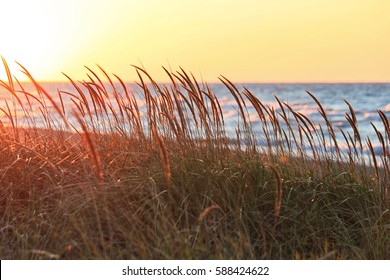 Tall beach grass glows in sunset light, in foreground of Lake Michigan located in the Indiana Dunes Lakeshore during Autumn in October