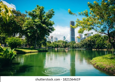 Tall Building Situated On A Lake Rich In Trees On A Clear Day At Lumpini Park, Bangkok, Thailand