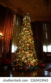 Tall Christmas Tree For High Ceiling Images Stock Photos