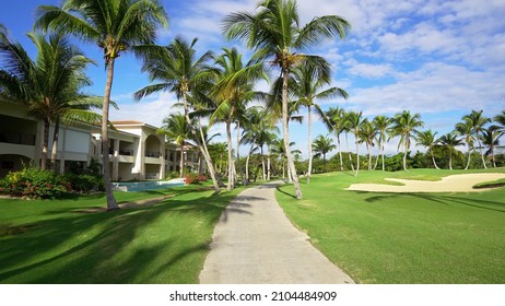 Tall coconut trees on the meadow grass for a golf course. Azure sky with clouds over a golf course with a sand trap. Golf cart track.
