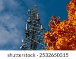 A tall communication tower with antennas rises against a clear blue sky. Bright orange autumn leaves from a nearby tree add vibrant color to the foreground, creating contrast. Copy space available.