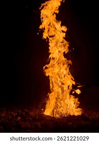 Tall flames dance upward from a patch of burning grass during nighttime, illuminating the dark surroundings with vibrant orange and yellow hues, creating a captivating display of fire