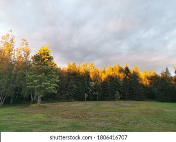 Tall Forest Trees Bordering A Huge Lawn With Plenty Of Green Grass And Gray Storm Clouds Above. Large Backyard With No People And Sun Shining On The Tips Of The Trees That Outline The Prompt.  