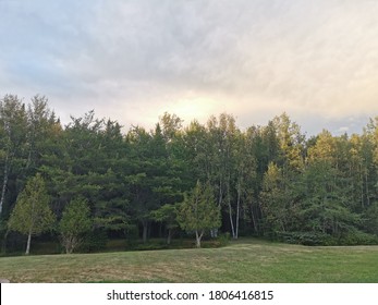 Tall Forest Trees Bordering A Huge Lawn With Plenty Of Green Grass And Gray Storm Clouds Above. Large Backyard With No People And Sun Shining On The Tips Of The Trees That Outline The Prompt.  