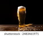 A tall glass of frothy beer with barley grains and wheat against a dark background, perfect for brewery promotions, beer advertisements, and pub menus.