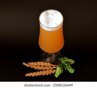 A tall glass of light wheat beer with a high head of foam on a black background, next to ears of wheat and ripe hop fruits. Close-up. - Powered by Shutterstock