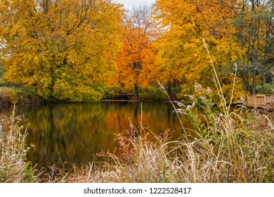 Tall grass frames this Autumn pond scene in Big Brook Park in Marlboro New Jersey.