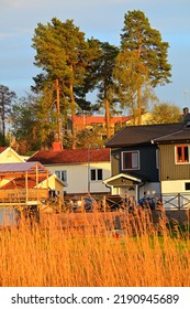 Tall Grass In Front Of House At Sunset 