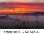 Tall grass silhouetted against a vibrant orange and red sunset over a misty landscape