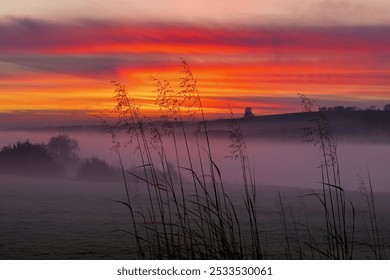 Tall grass silhouetted against a vibrant orange and red sunset over a misty landscape - Powered by Shutterstock