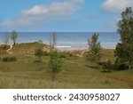 Tall grasses, trees and shrubs growing on hills of sand dunes, in front of Lake Michigan, at Kohler Dunes State Park Natural Area in Sheboygan, Wisconsin, USA
