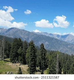 tall green cypress trees on the hill view of clouds in the sky mountain range blue sky dark clouds mountain range natural scenery beautiful scenery peak - Powered by Shutterstock