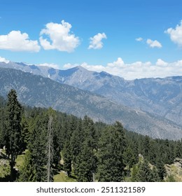 tall green cypress trees on the hill view of clouds in the sky mountain range blue sky dark clouds mountain range natural scenery beautiful scenery peak - Powered by Shutterstock