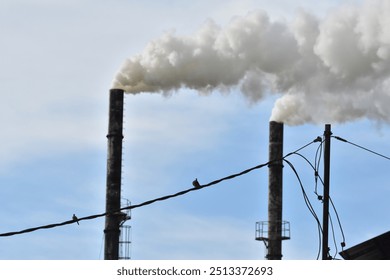 Tall industrial chimneys release thick white smoke into the air against a clear sky. The rusted metal structures, with ladders and platforms, stand prominently, symbolizing industrial activity - Powered by Shutterstock