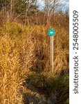 Tall marsh grass and snake sign in Zelenci Nature Reserve on the Julian Alps, Slovenia