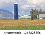 A tall, narrow silo stands beside a basic wooden farm building behind a harvested corn field on a rural farm. 