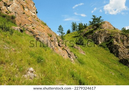 Tall pine trees on the slopes and top of the mountain with protruding rocky formations on a summer sunny day. Khakassia, Siberia, Russia.