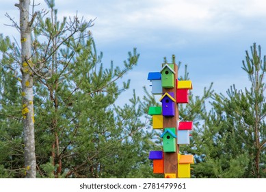 A tall post displays an array of vibrant birdhouses, each painted in exciting colors. Lush green pine trees surround the scene, while sunlight brightens the sky above, creating a joyful atmosphere.