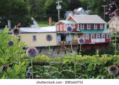 Tall Purple flowers at the Bridge of Flowers overlooking a river with a yellow and red building in the background