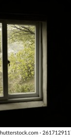 Tall rectangular window in a darkened room looking out onto dense trees. The natural light highlights the window frame’s weathered texture.