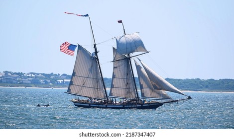 Tall Ship Lynx Nantucket Massachusetts