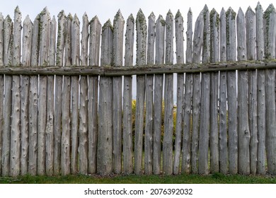 Tall Stockade Fence  With Green Moss