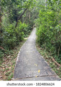 Tall Tale, Trail Of The Garden In Hong Kong