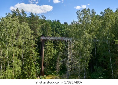 Tall tree top walking path in the forest 