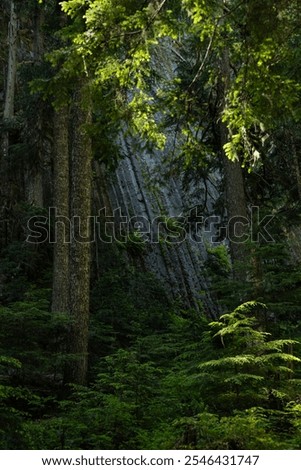 Similar – Image, Stock Photo Basalt columns with moss cushion