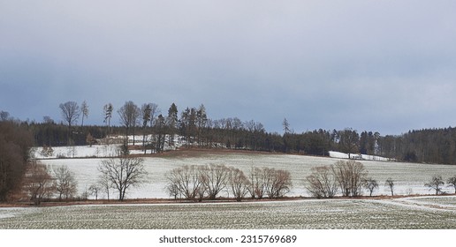 tall trees in the first snow planted along a country road - Powered by Shutterstock