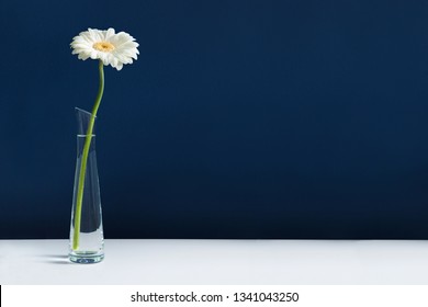 Single Flower Vase Images, Stock Photos & Vectors | Shutterstock