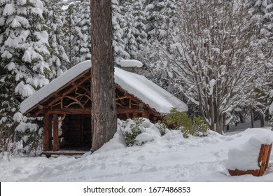 Tallac Historical Cabin In The Woods Along Lake Tahoe