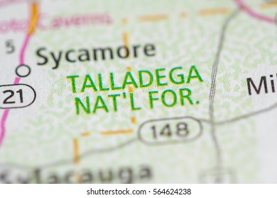 Talladega National Forest. Alabama. USA