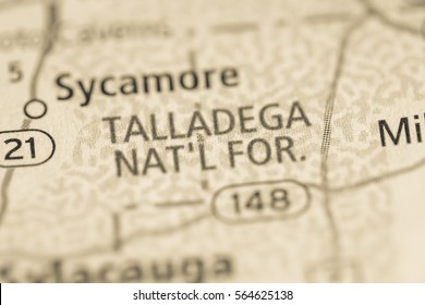 Talladega National Forest. Alabama. USA