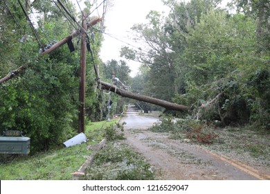 Tallahassee, FL / United States - October 11, 2018. Hurricane Michael's powerful winds took toppled trees causing massive power outage in Tallahassee. More than half of the city lost power. 
