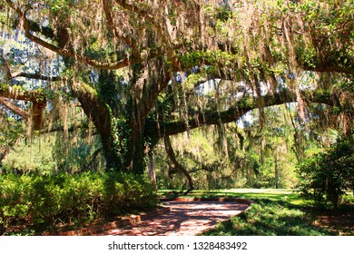 Tallahassee State Park Pathway