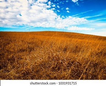 Tallgrass Prairie In The Fall In Kansas