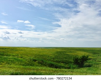 Tallgrass Prairie In The Kansas Flint Hills.