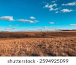 Tallgrass Prairie Reserve, Osage County, OK 