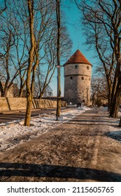 Tallinn, Estonia - January 25, 2022 - Vertical Sunset View Of Toompea Hill Park In Winter With Maiden Tower