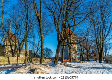 Tallinn, Estonia - January 25, 2022 - Toompea Hill Park In Winter With Maiden Tower