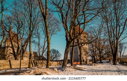 Tallinn, Estonia - January 25, 2022 - Sunset View Of Toompea Hill Park In Winter With Maiden Tower