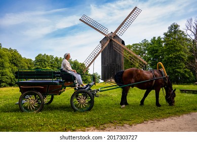 Tallinn, Estonia. June 10, 2021. An Amish horse and carriage travels on a rural road by the wooden windmill.