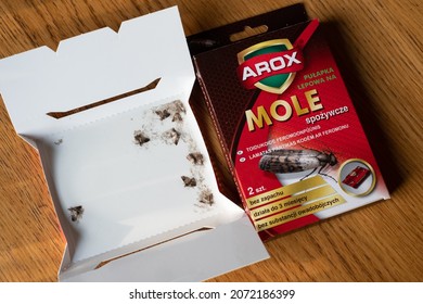 Tallinn, Estonia - Oct 31, 2021: Arox Pheromone Trap For Indian Meal Moth Or Flour Moths. Pest Control In Food Shortage. Captured Food Moths On Sticky Cardboard Box.